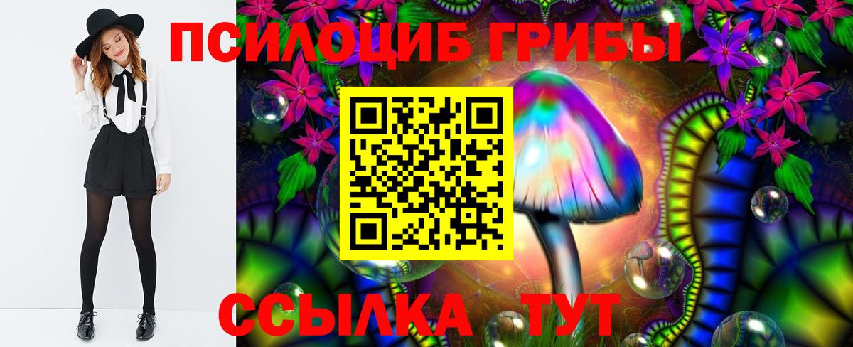 Михайловка  Галлюциногенные грибы Magic Shrooms  Вход с VPN 